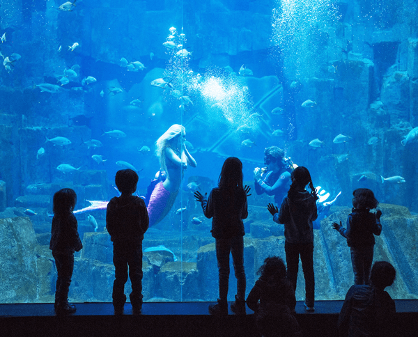 paris-com-criancas-aquarium
